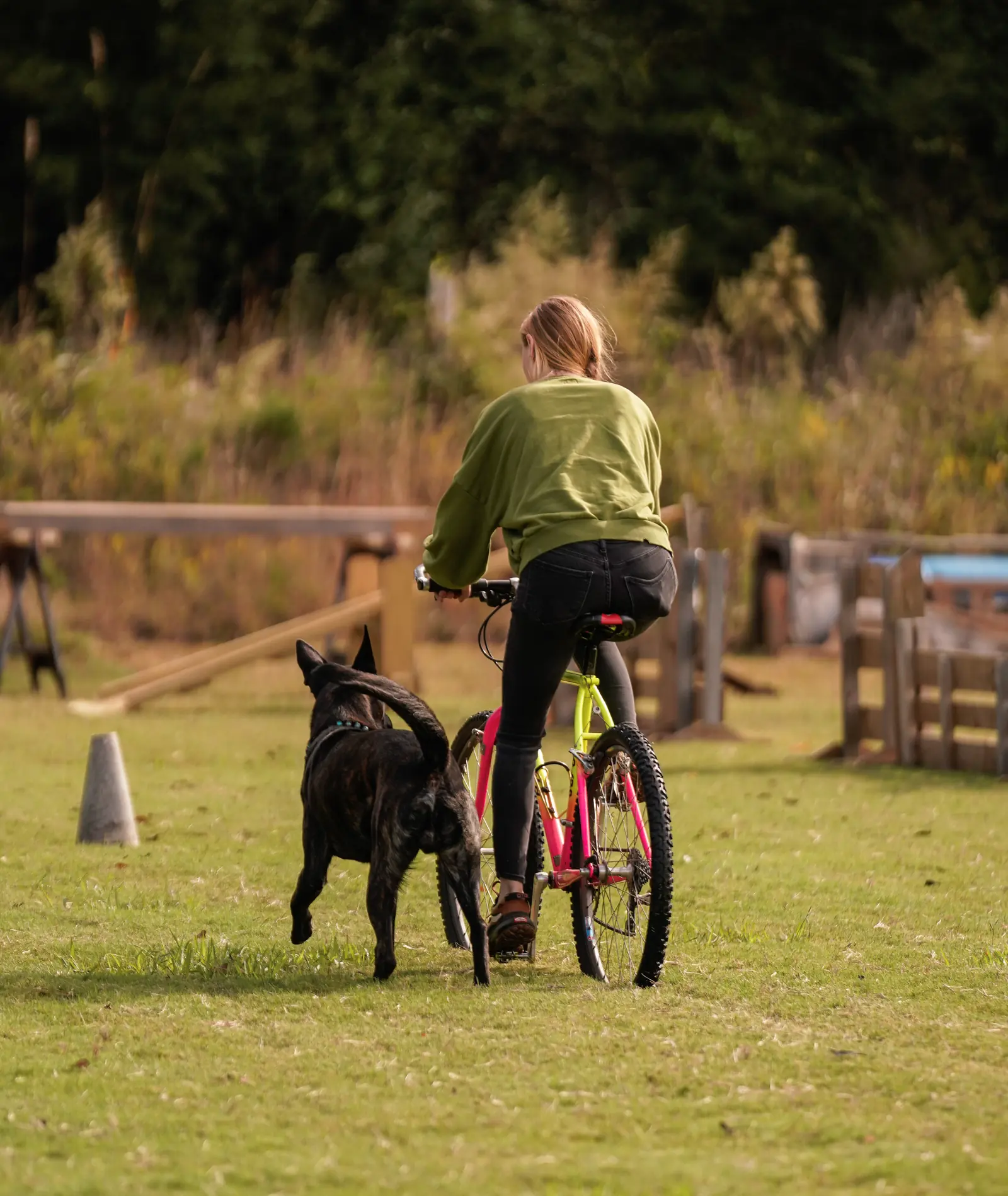 Competitive dog sports training at Georgia Doggy Dojo 10